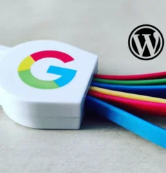 WordPress plugin